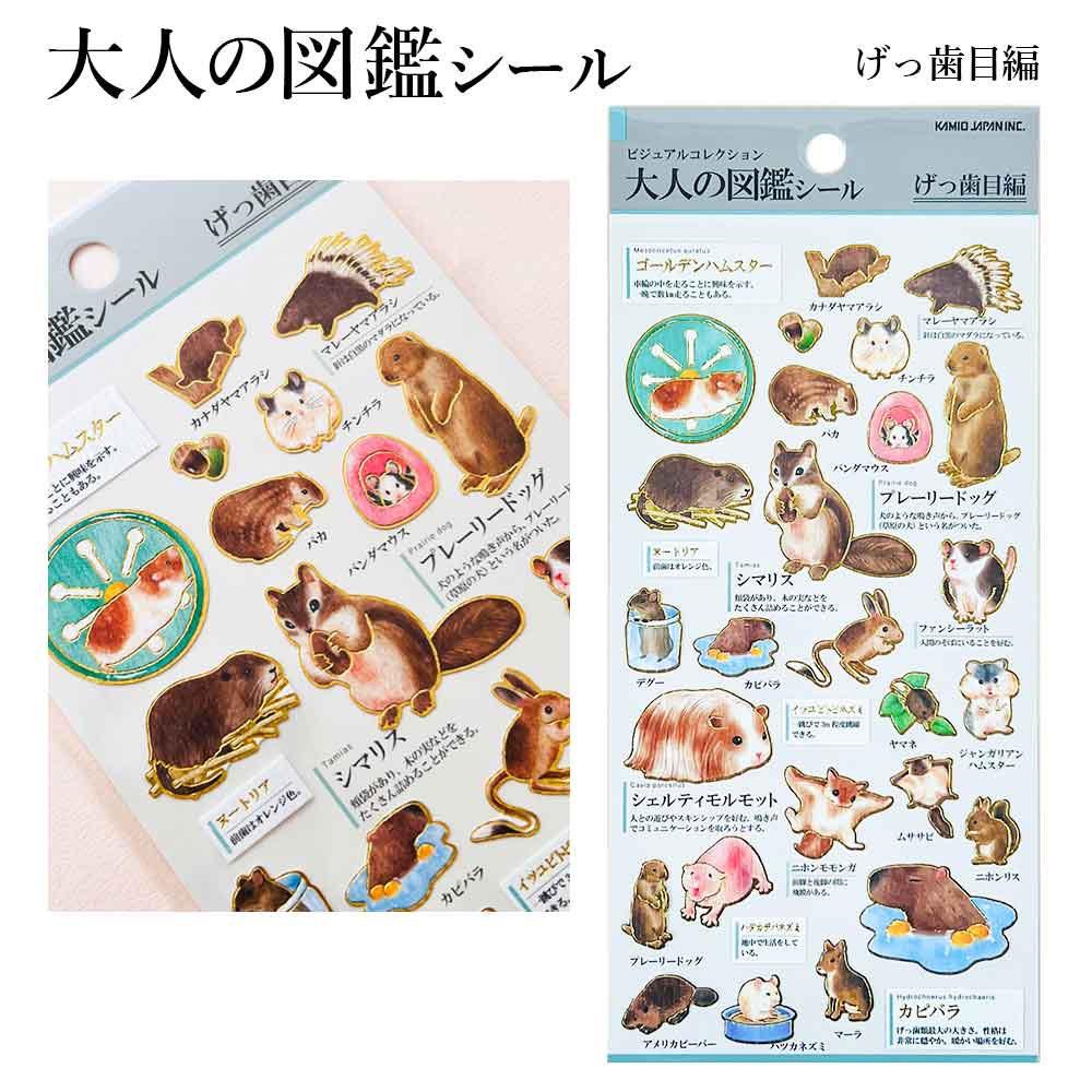 大人の図鑑シール げっ歯目 シートシール カミオジャパン kamio japan