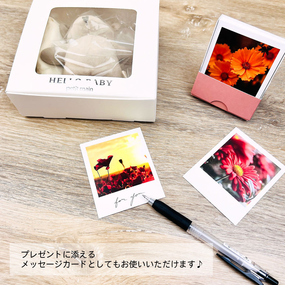【公式】全部ちがう柄 フォトスタンドメモ