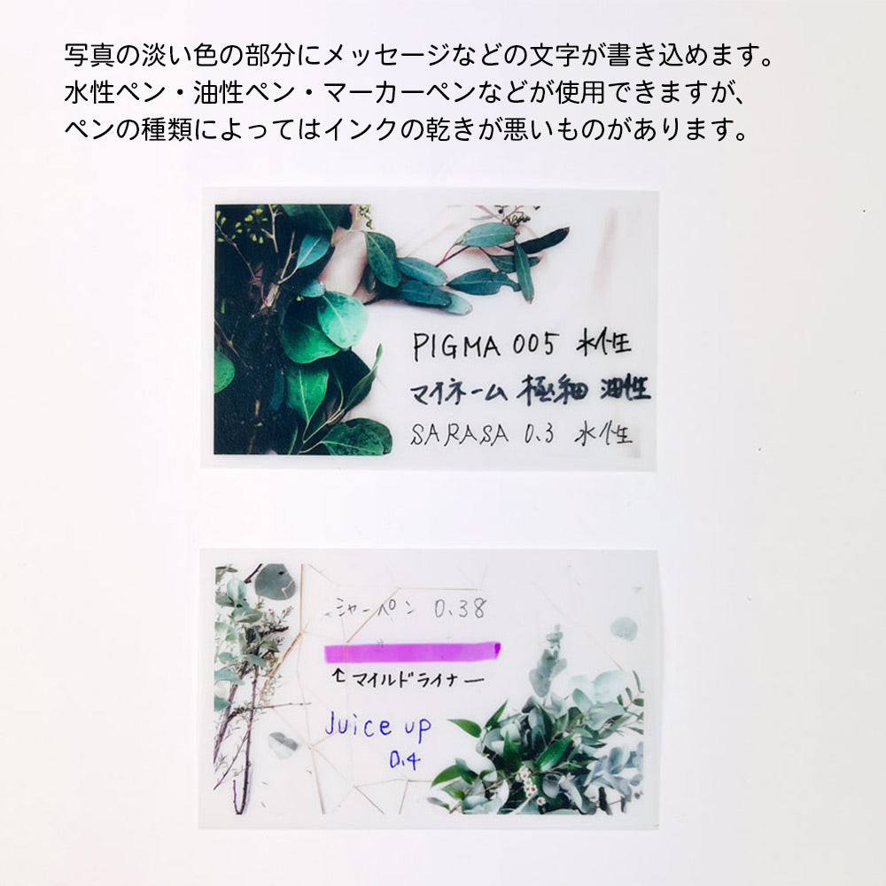 【公式】全部ちがう柄 トレペフォトミニカード