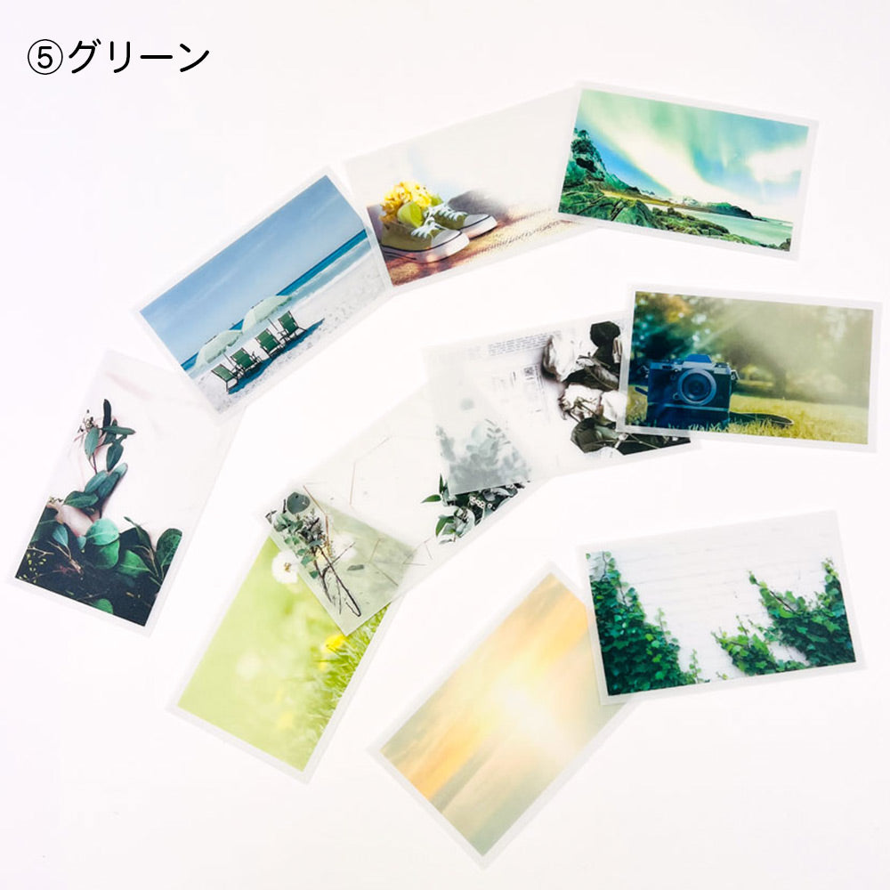【公式】全部ちがう柄 トレペフォトミニカード