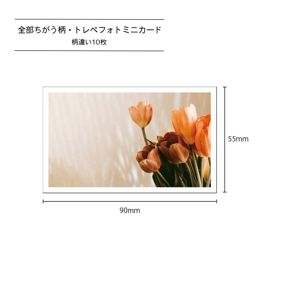 【公式】全部ちがう柄 トレペフォトミニカード