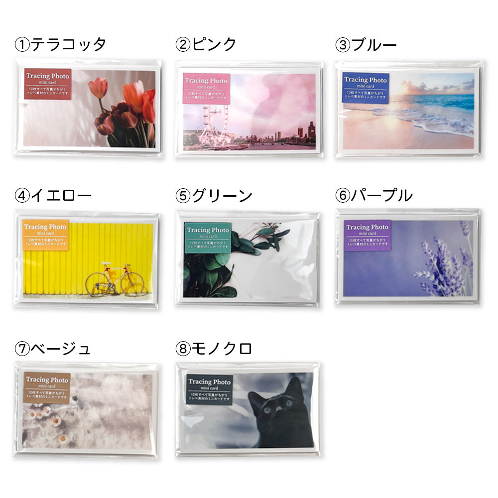 【公式】全部ちがう柄 トレペフォトミニカード
