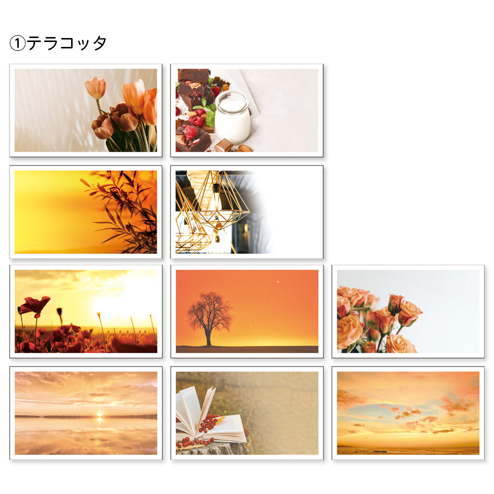 【公式】全部ちがう柄 トレペフォトミニカード