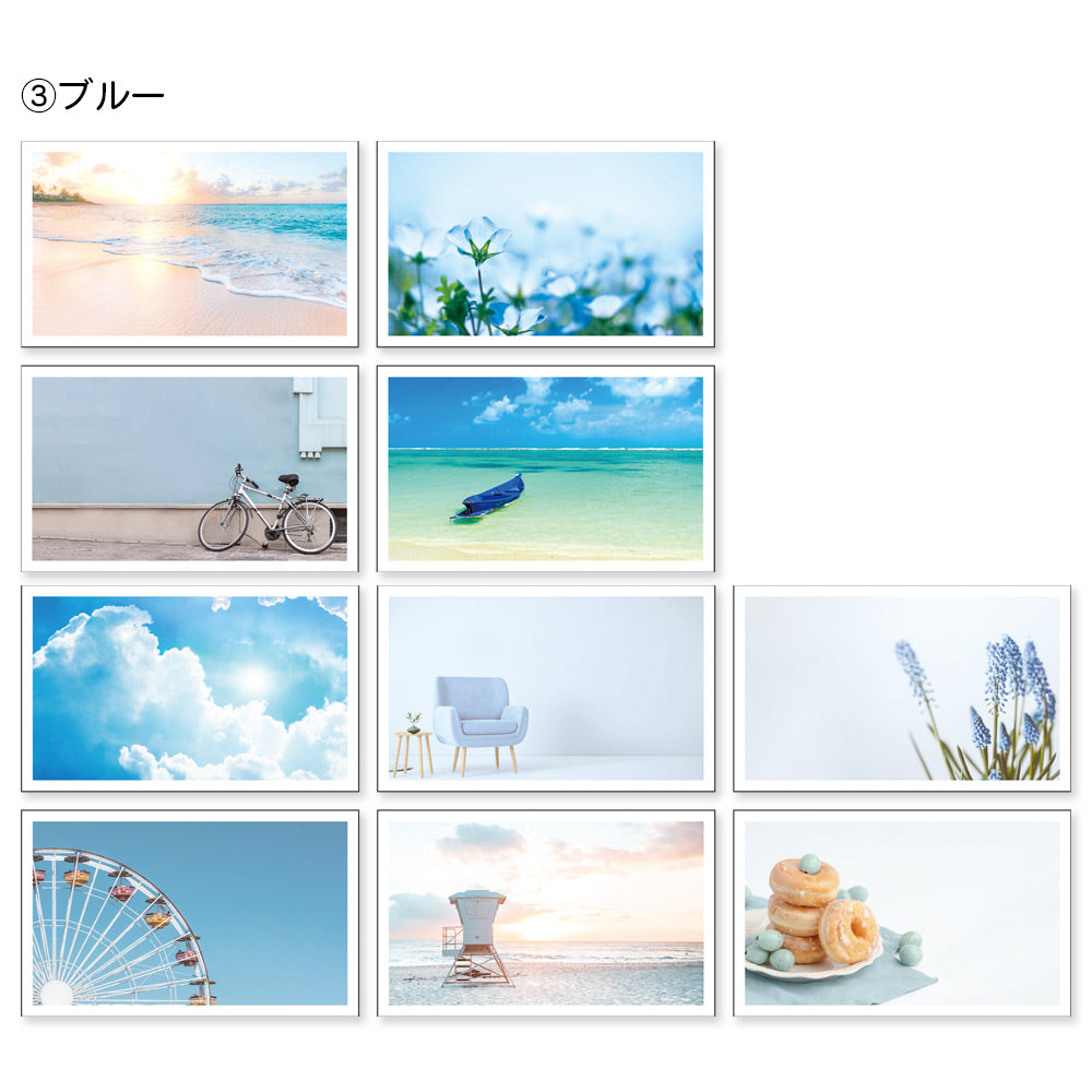 【公式】全部ちがう柄 トレペフォトミニカード