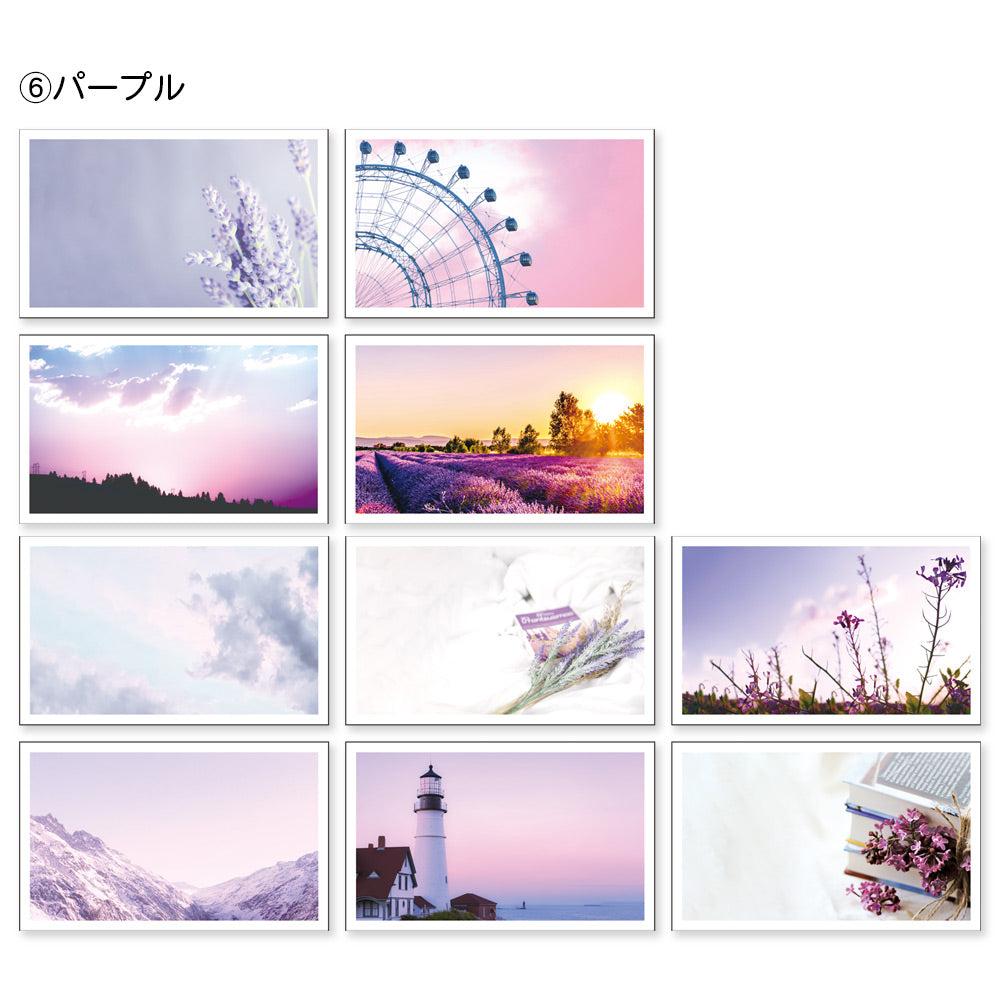 【公式】全部ちがう柄 トレペフォトミニカード