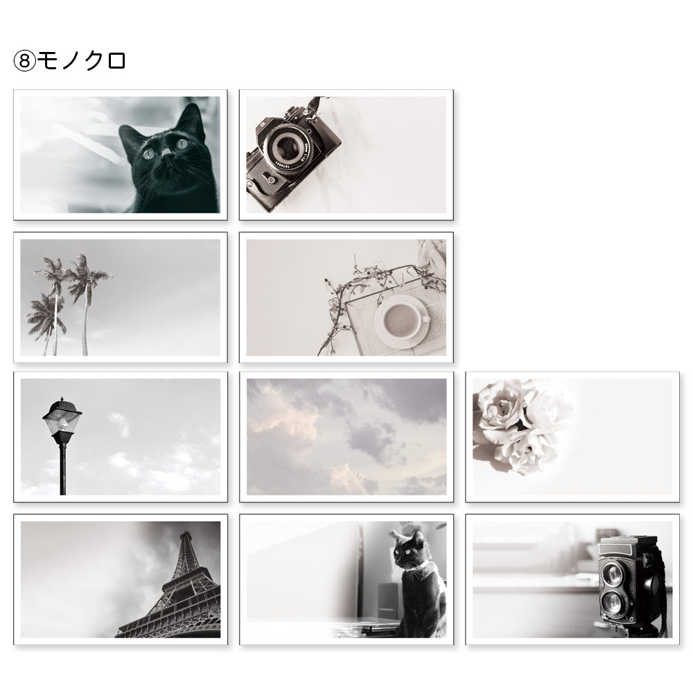 【公式】全部ちがう柄 トレペフォトミニカード