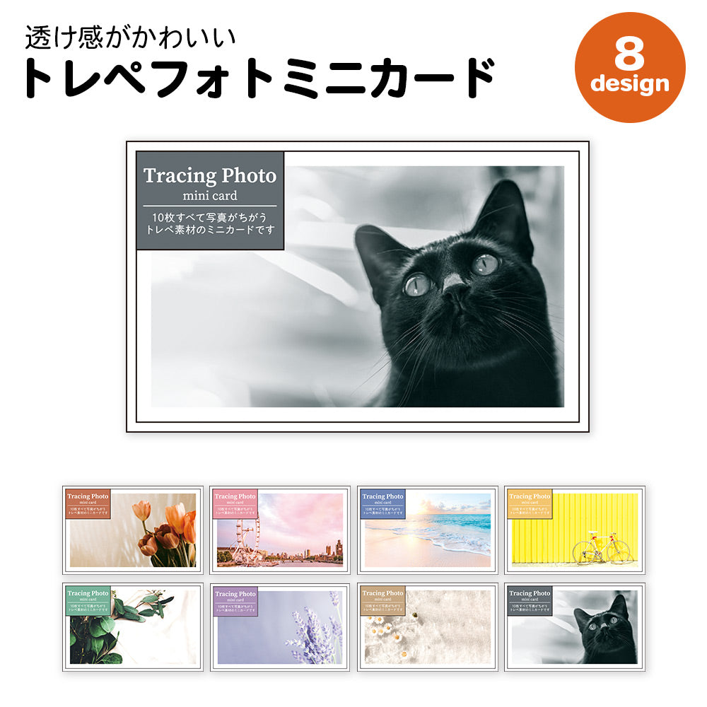 【公式】全部ちがう柄 トレペフォトミニカード
