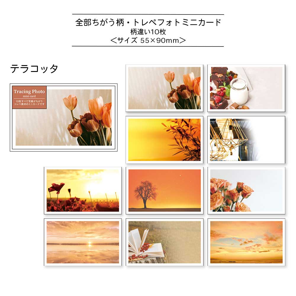 【公式アンバサダー企画セット割20%OFF】sakusakuさんセレクト13点セット