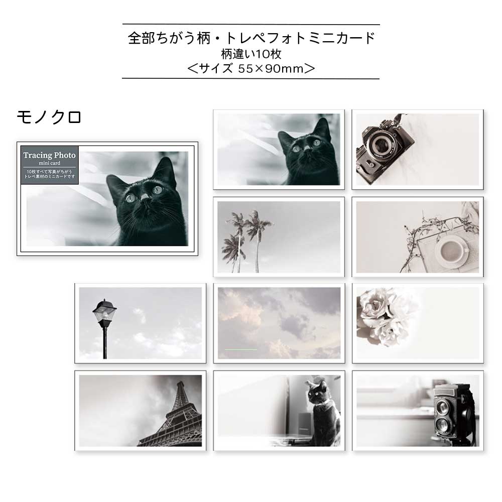 【公式アンバサダー企画セット割20%OFF】sakusakuさんセレクト13点セット
