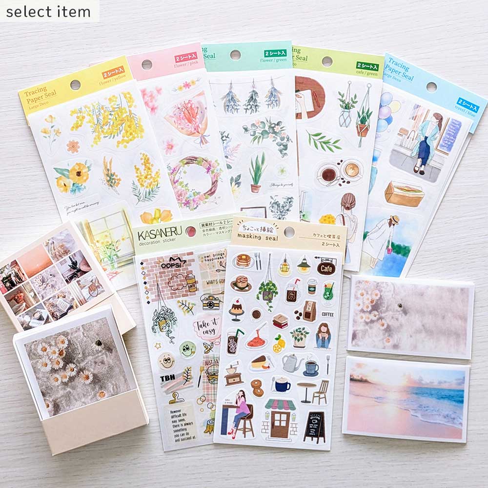 【公式アンバサダー企画セット割20%OFF】たま子さんセレクト10点セット