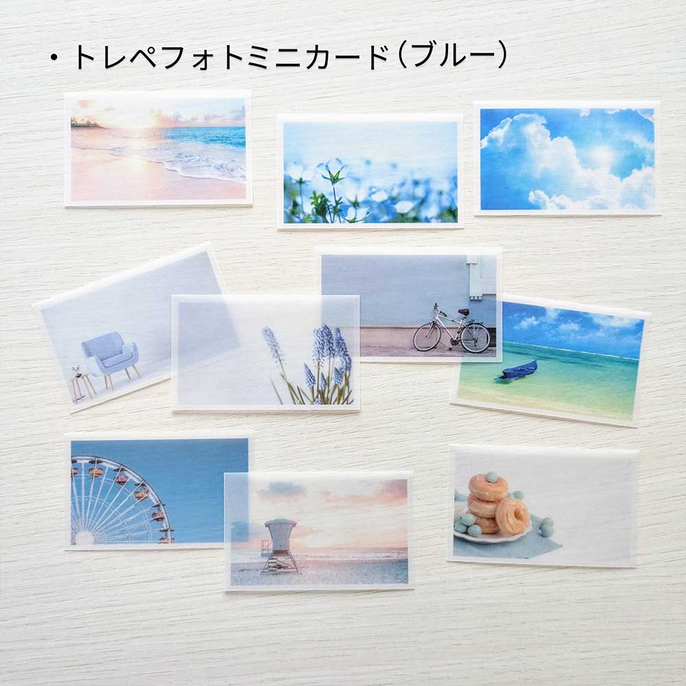 【公式アンバサダー企画セット割20%OFF】たま子さんセレクト10点セット