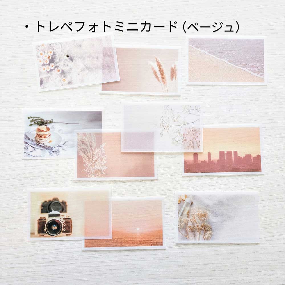 【公式アンバサダー企画セット割20%OFF】たま子さんセレクト10点セット