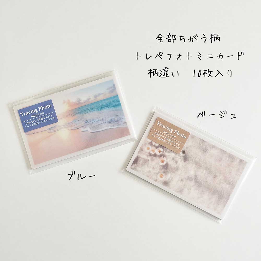 【公式アンバサダー企画セット割20%OFF】Holiday timeさんセレクト12点セット