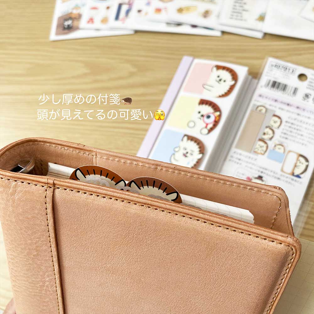 【公式アンバサダー企画セット割20%OFF】ももてんさんセレクト11点セット