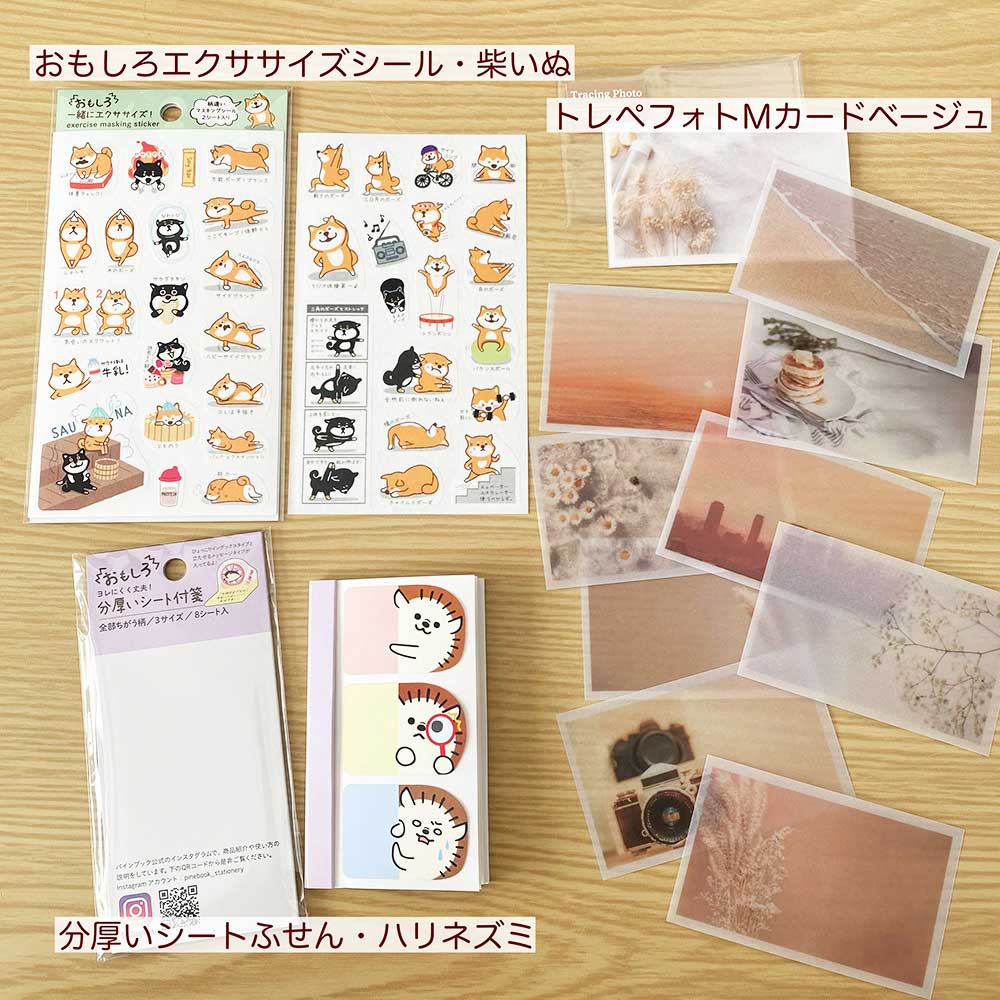 【公式アンバサダー企画セット割20%OFF】ももてんさんセレクト11点セット