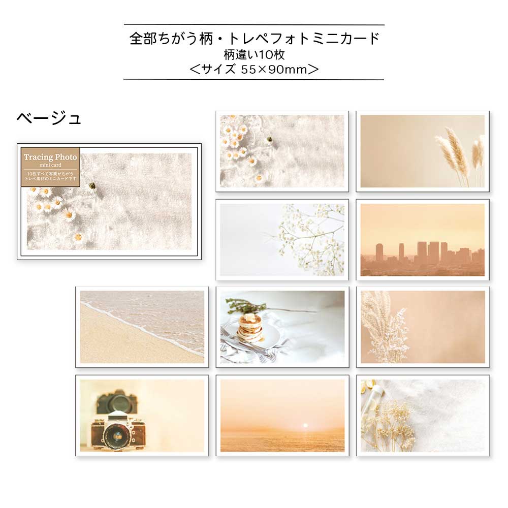 【公式アンバサダー企画セット割20%OFF】ももてんさんセレクト11点セット