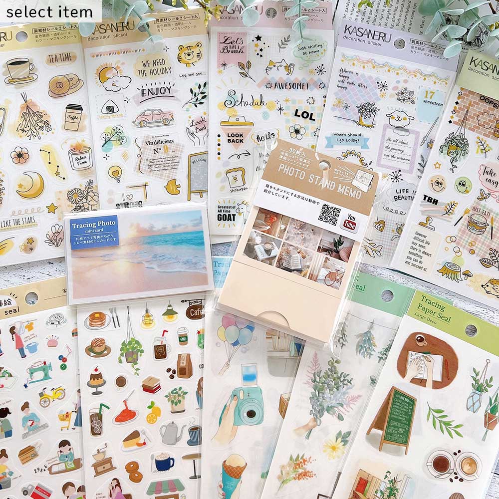 【公式アンバサダー企画セット割20%OFF】kumiさんセレクト12点セット