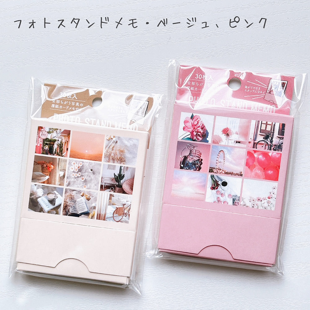 【公式アンバサダー企画セット割20%OFF】あおさんセレクト12点セット