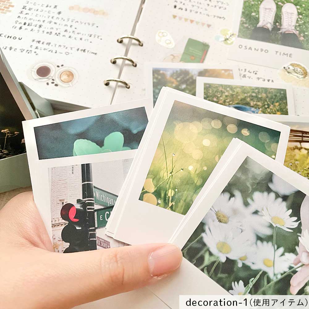 【公式アンバサダー企画セット割20%OFF】chieさんセレクト13点セット