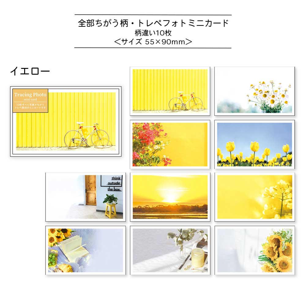 【公式アンバサダー企画セット割20%OFF】chieさんセレクト13点セット
