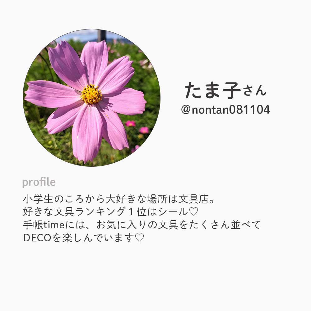 【公式】セット割20%OFF | たま子さんセレクト シール8点セット