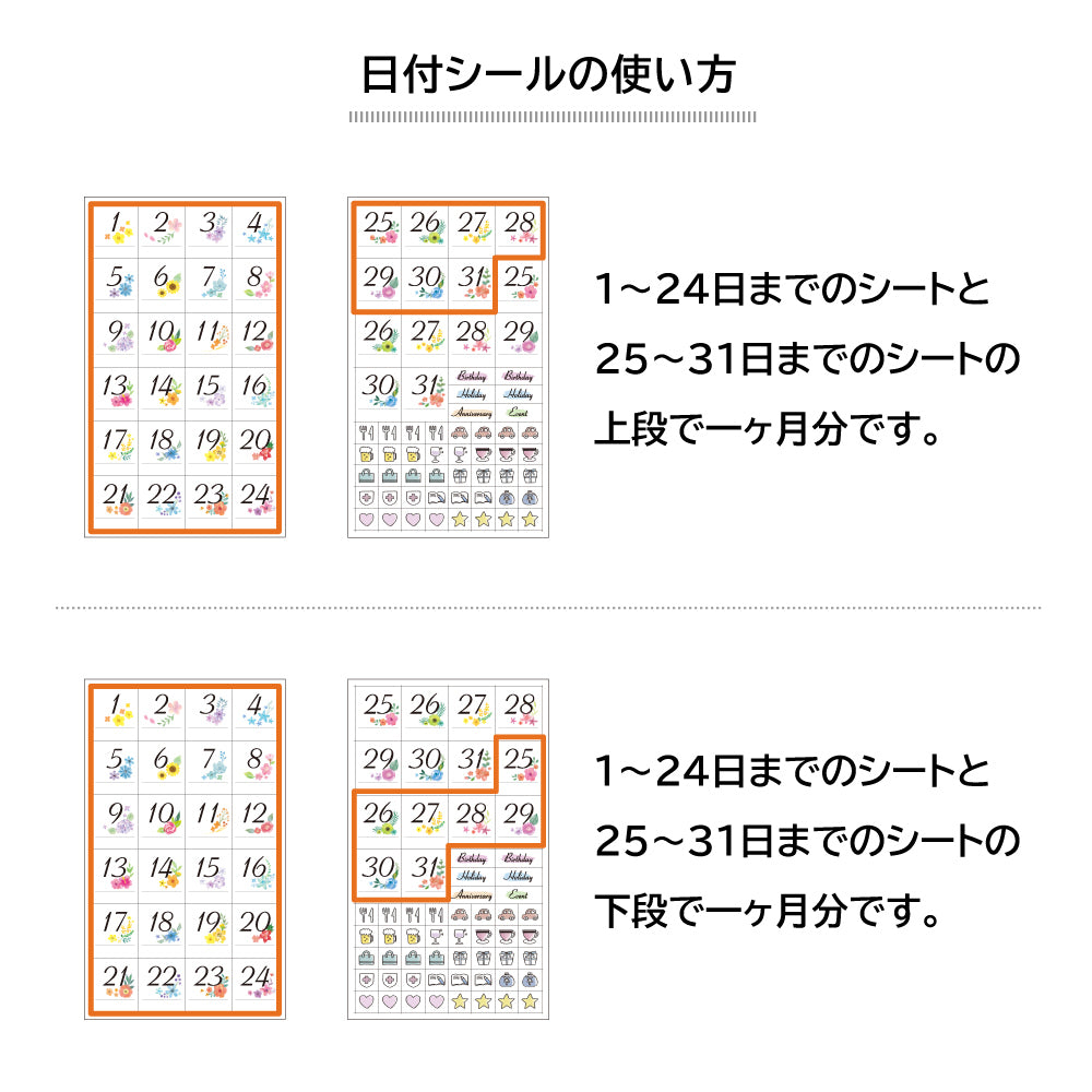 【公式】マスキングシール・デイリー・半年セットL〈カリグラフィー・カラー〉