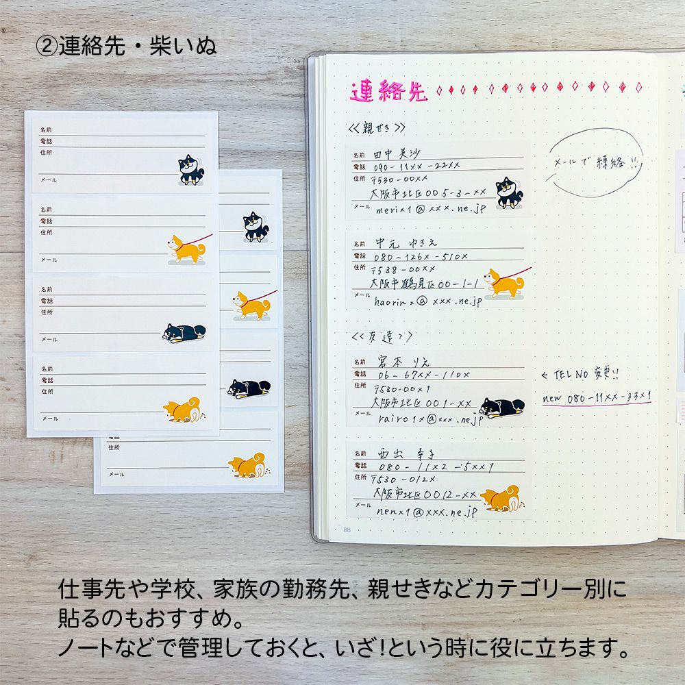 【在庫処分セール70%OFF】【公式】 管理 シール・連絡先・病院リスト