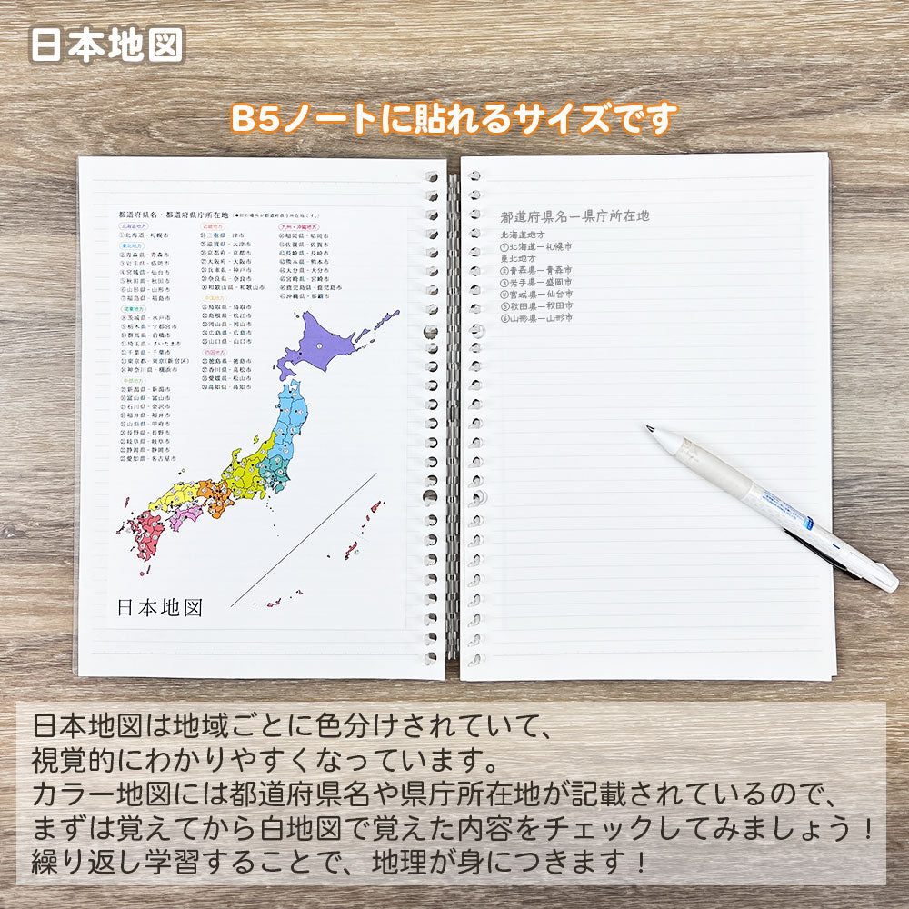 【販売開始記念10%OFF】貼ってはがせる学習シール A5サイズ