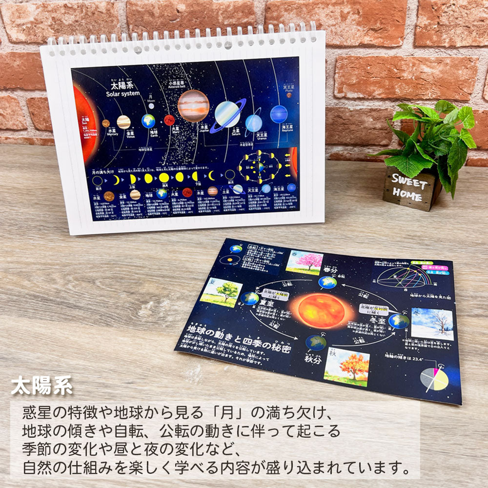 【販売開始記念10%OFF】貼ってはがせる学習シール A5サイズ