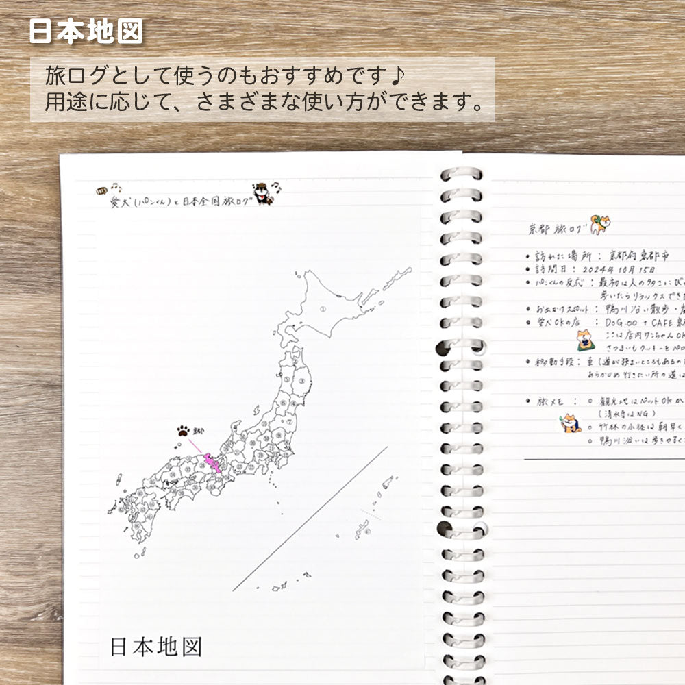 【販売開始記念10%OFF】貼ってはがせる学習シール A5サイズ