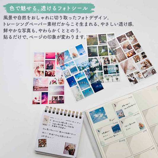 トレペシール・フォト