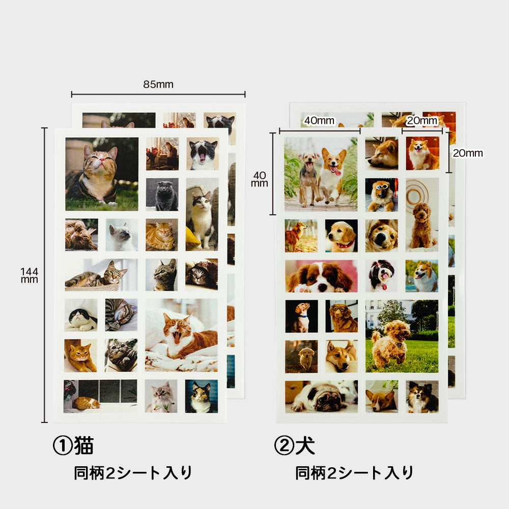 【在庫処分セール50%OFF】【公式】マスキングシール・フォトスクエア