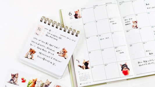 気づいたら増えてる。動物好きの“やめられない収集癖