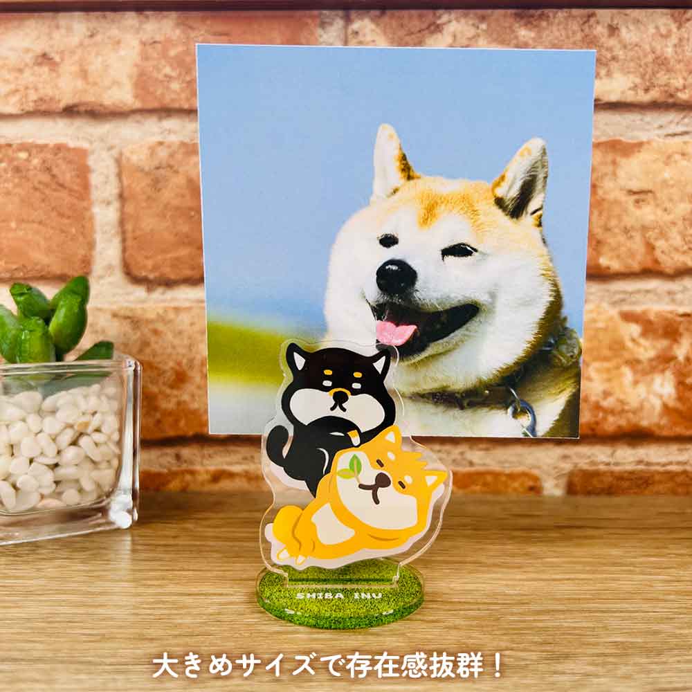アクスタクリップ アクリルスタンド クリップ ねこ 柴犬 シマエナガ ハシビロコウ
