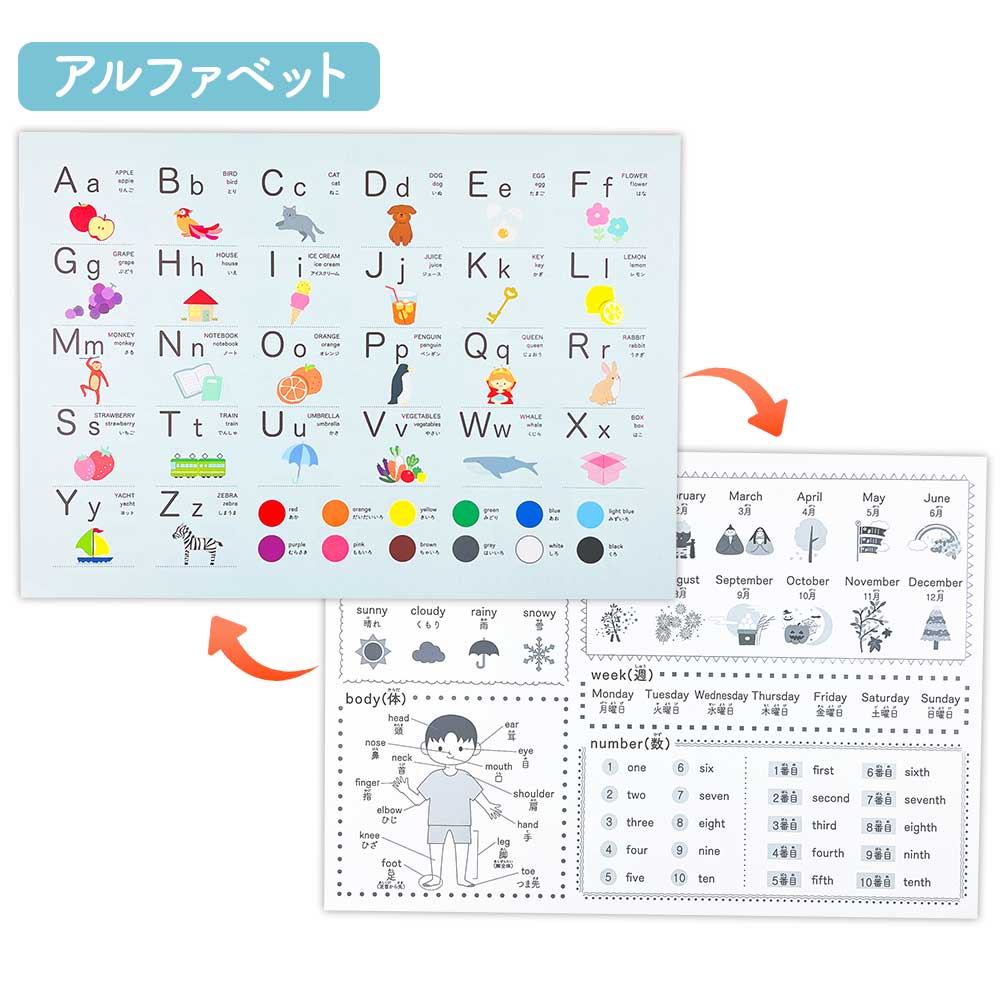 【今だけ10％OFF】リバーシブルお風呂ポスター｜ステップアップ学習で楽しく知育！