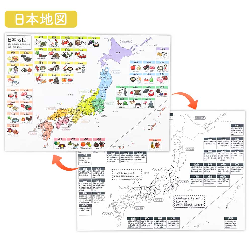 【今だけ10％OFF】リバーシブルお風呂ポスター｜ステップアップ学習で楽しく知育！