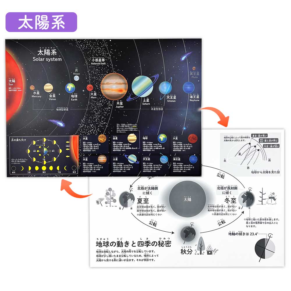 【今だけ10％OFF】リバーシブルお風呂ポスター｜ステップアップ学習で楽しく知育！