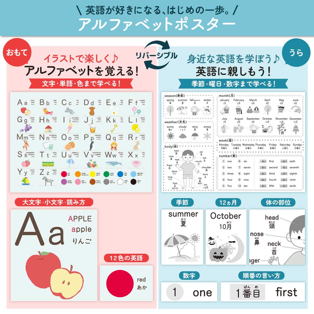 【今だけ10％OFF】リバーシブルお風呂ポスター｜ステップアップ学習で楽しく知育！