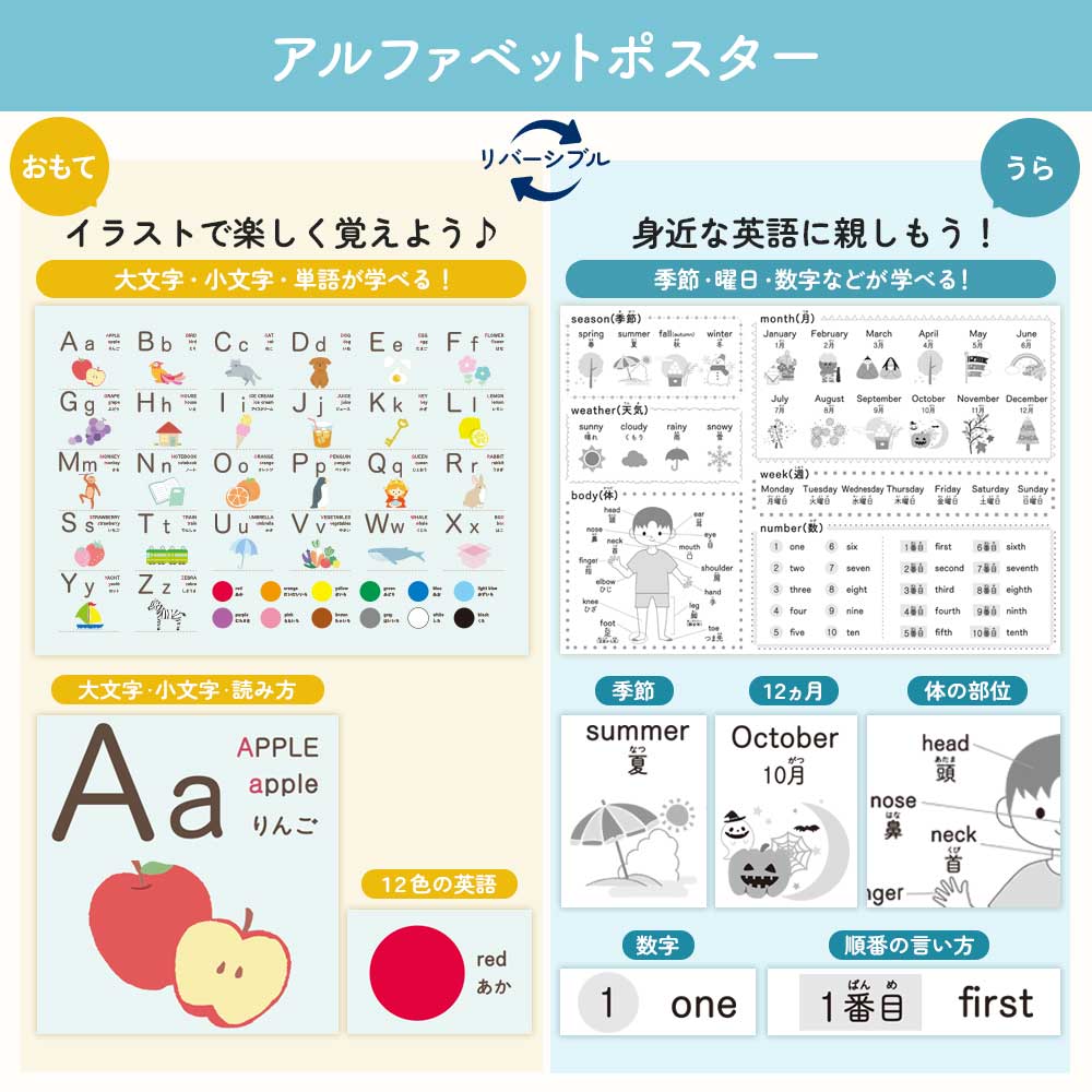 新デザイン追加♪リバーシブルお風呂ポスター｜ステップアップ学習で楽しく知育！