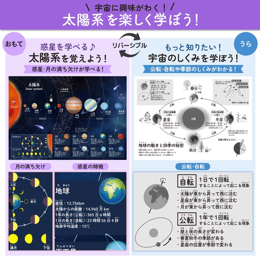 【今だけ10％OFF】リバーシブルお風呂ポスター｜ステップアップ学習で楽しく知育！