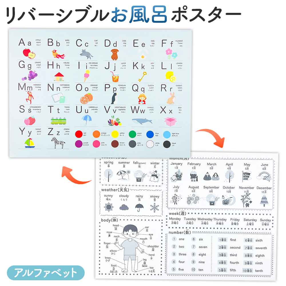 新デザイン追加♪リバーシブルお風呂ポスター｜ステップアップ学習で楽しく知育！