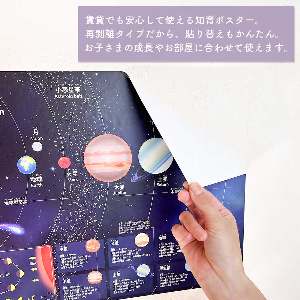 貼ってはがせる 知育ポスターステッカー