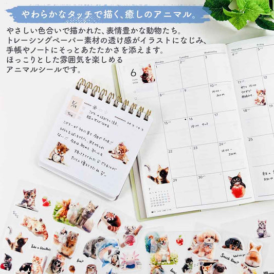 トレペシール・アニマル